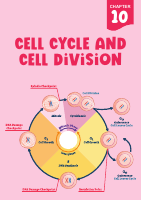 cell cycle.pdf